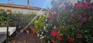 隆达Apartamentos Los Descalzos Ángel With Private Terrace Free Parking的花园里用水管喷洒植物