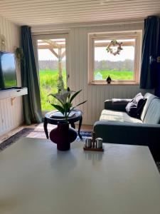 A television and/or entertainment centre at Hytten - Tiny house