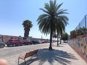 a bench sitting on a sidewalk next to a palm tree at close to beach and 15 mints to la rambla by tren in Sant Adria de Besos