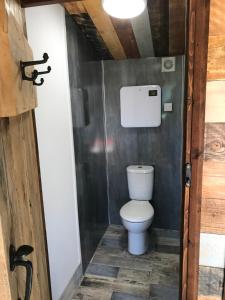 a bathroom with a toilet in a room at Wild Meadow Camping in Llandysul +51 photos