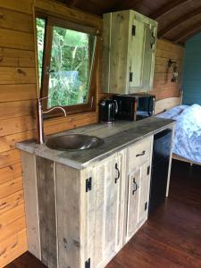 a kitchen with a sink in a cabin at Wild Meadow Camping in Llandysul