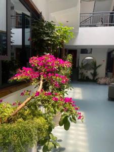 Aed väljaspool majutusasutust Zhangjiajie Borui Hotel - Tianmen Mountain 张家界天门山泊睿庭院酒店