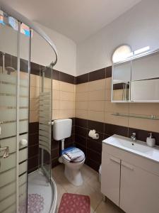 a bathroom with a toilet and a sink and a shower at Apartmani Ruža in Vir