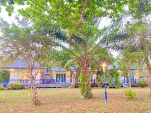 春蓬Love at First Sight的一栋前面有棕榈树的房子