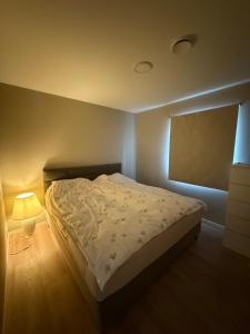 Ένα ή περισσότερα κρεβάτια σε δωμάτιο στο New Modern House by the Sea