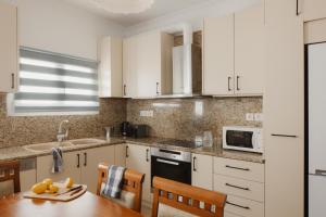 Kuchyň nebo kuchyňský kout v ubytování Villa Eros