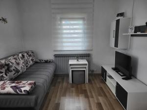 Televízia a/alebo spoločenská miestnosť v ubytovaní Apartment & Room TOMA