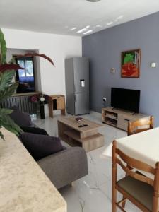 Gallery image of Apartments Sara in Labin