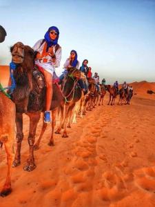 Hosté ubytování LuXURY SAHARA CAMP