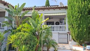 Zahrada ubytování Villa Mondriana