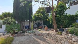 Zahrada ubytování Villa Mondriana