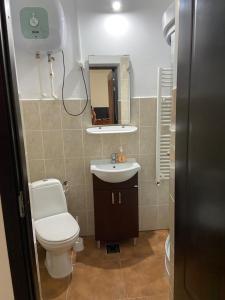 a bathroom with a toilet and a sink and a mirror at La Dunare in Crisan