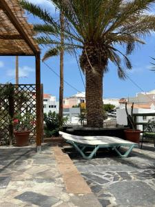 a bench and a surfboard sitting next to a palm tree at La casita de los Tendederos in Tamaduste +15 photos