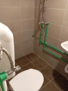 Un baño con ducha, inodoro y lavabo. en Konaci Čakarević, en Dragačica 4 fotos más