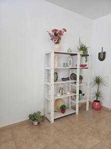 a white shelf with potted plants in a room at La Casa de la Cerámica in Níjar
