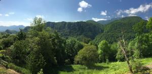 モンセギュールにあるGite de Serrelongueの木々や山々の森の景色