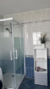 baño con ducha y armario con planta en Ferienwohnung 2 mit Garten, en Hannover