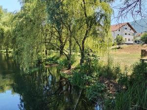 a river with trees and a house in the background at Villa Roko in Ličko Lešće