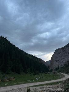a road in the middle of a valley with trees at Camp Moldo pass on the road to Son Kol lake, overnight stay, meals, tea, coffee in Jangy-Talap