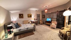 a living room with a bed and a tv in it at Chambre d'hôte SOJANI in Romenay