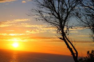 Gallery image of Can Xica in Sant Josep de Sa Talaia