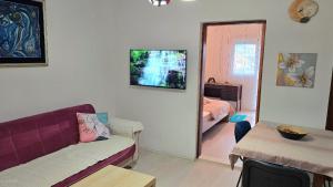 a living room with a couch and a television on the wall at Alpha Casa in Bar