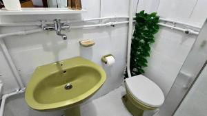 a bathroom with a green sink and a toilet at Alpha Casa in Bar +12 photos