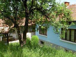 una casa azul con un árbol delante en Villa Skalolazka, en Belogradchik