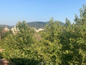 Φυσικό τοπίο κοντά σε αυτό το διαμέρισμα