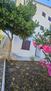Fotografie z fotogalerie ubytování TIM apartmani v destinaci Orebić