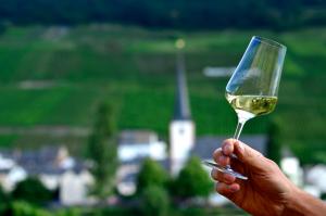 a person holding a glass of white wine at Weingut Später-Veit in Piesport