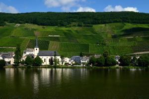 a village on the shore of a lake next to a vineyard at Weingut Später-Veit in Piesport