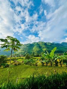 Yên MinhにあるDu Già Bungalowの山を背景にした畑の木