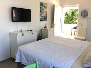 Televízia a/alebo spoločenská miestnosť v ubytovaní Apartment Pin