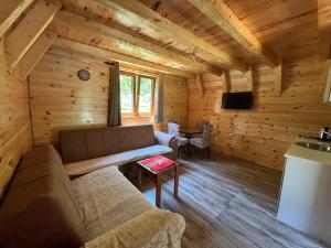a living room with a couch and a tv in a log cabin at Guesthouse Stanisic in Dobrilovina
