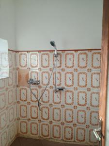 a shower in a bathroom with a tiled wall at Aloé & Rosette in Andasibe +24 photos