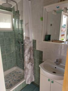 a bathroom with a shower and a sink at Apartman Karo in Vrsar