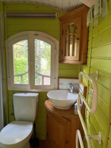 a green bathroom with a toilet and a sink at Maison d'hôtes Il était une fois in Pont-lʼÉvêque +64 photos