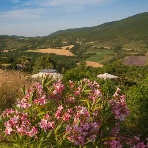 Gallery image of La yourte des genévriers in Saint-Vincent-de-Barrès