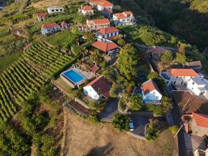 an aerial view of a estate with a vineyard at Lucky Lemons Boutique Houses Madeira 1 in Calheta