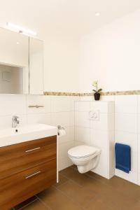a bathroom with a toilet and a sink and a mirror at LETA Homes - Komfortables Gästehaus - eigene Parkplätze & Traumterrasse in Straubing