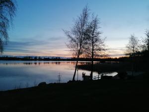 a view of a lake at sunset with two trees at Pikkuhelmi-huvila in Eurajoki +6 photos