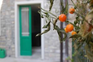 Fotografie z fotogalerie ubytování PRIMA DEL CIELO - appartamento LAGO v destinaci Esino Lario