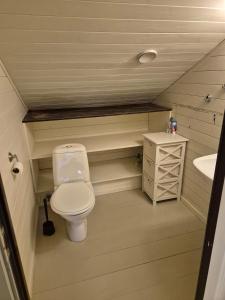 ein kleines Badezimmer mit Toilette und Waschbecken in der Unterkunft Idyllic house with views - close to nature in Nydalen