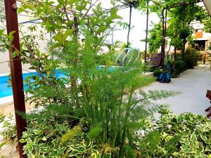 a plant in a garden with a blue slide at Apartments Kegalj in Podstrana
