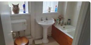 Fotografie z fotogalerie ubytování Home in Burton On Trent v destinaci Burton upon Trent