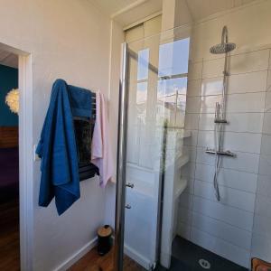a bathroom with a shower with a glass door at Maison charmante, années 30 avec extérieur à l'Ile Verte in Grenoble +15 photos