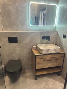 a bathroom with a sink and a toilet and a mirror at Квартира Фонтанка, ТРЦ Рів'єра, пляж Яхта in Fontanka