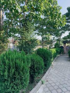Zahrada ubytování Villa Platinum