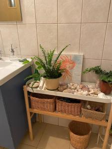 a bathroom with a sink and a shelf with plants at The old Oak tree by the Banias river in Kibbutz Snir +51 photos